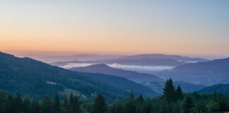 Apartamenty do wynajęcia na wakacje