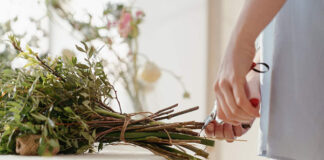 Herbata z hibiskusa świetna na przeziębienie