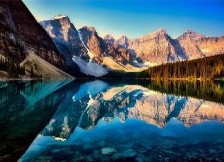 W jakim sklepie można kupić łańcuchy na koła?