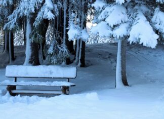 Czy warto kupić ławeczkę do ćwiczeń?