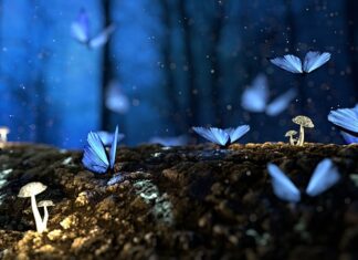 Z jakiego drewna ławki?