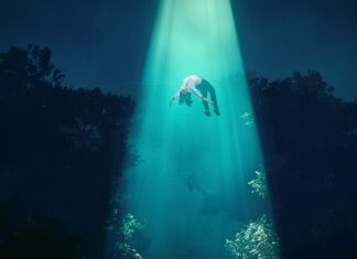 Do jakiego stopnia można dojść w wojsku bez matury?