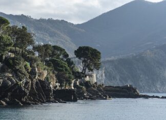 Ile kosztuje płyn do baniek? Ile kosztuje płyn do baniek?