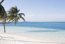 Jak zrobić palmę na głowie?