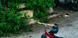 Rowerki trójkołowe